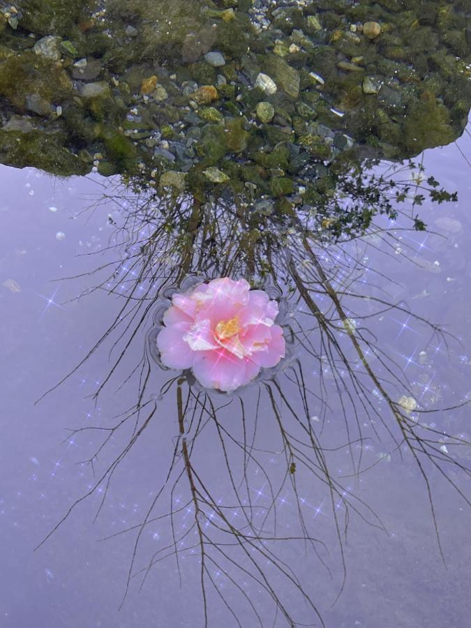 Shiga Biwa Lake Shanshui House Takashima Buitenkant foto